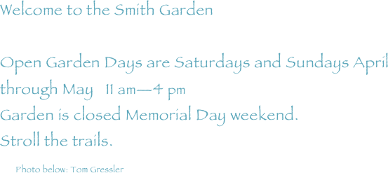 Welcome to the Smith Garden 

Open Garden Days are Saturdays and Sundays April through May   11 am—4 pm
Garden is closed Memorial Day weekend.
Stroll the trails.    
    Photo below: Tom Gressler



